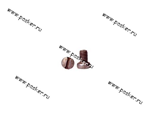 Винт М6х8 крепления маслоотражателя полуоси 2101-07