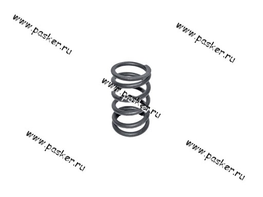 21010-1007020-00 Пружина клапана 2101 наружная большая LADA Image