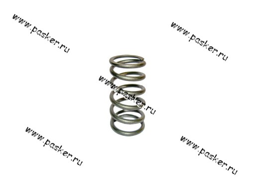 21010-1007021-00 Пружина клапана 2101 внутренняя малая LADA Image