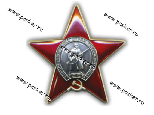 Наклейка 9 мая Орден Красной звезды 30х30см